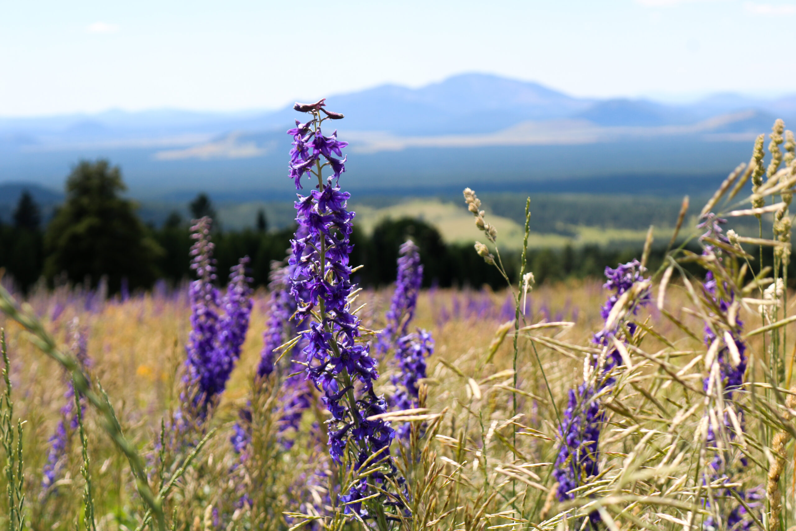Finding The Presence of God