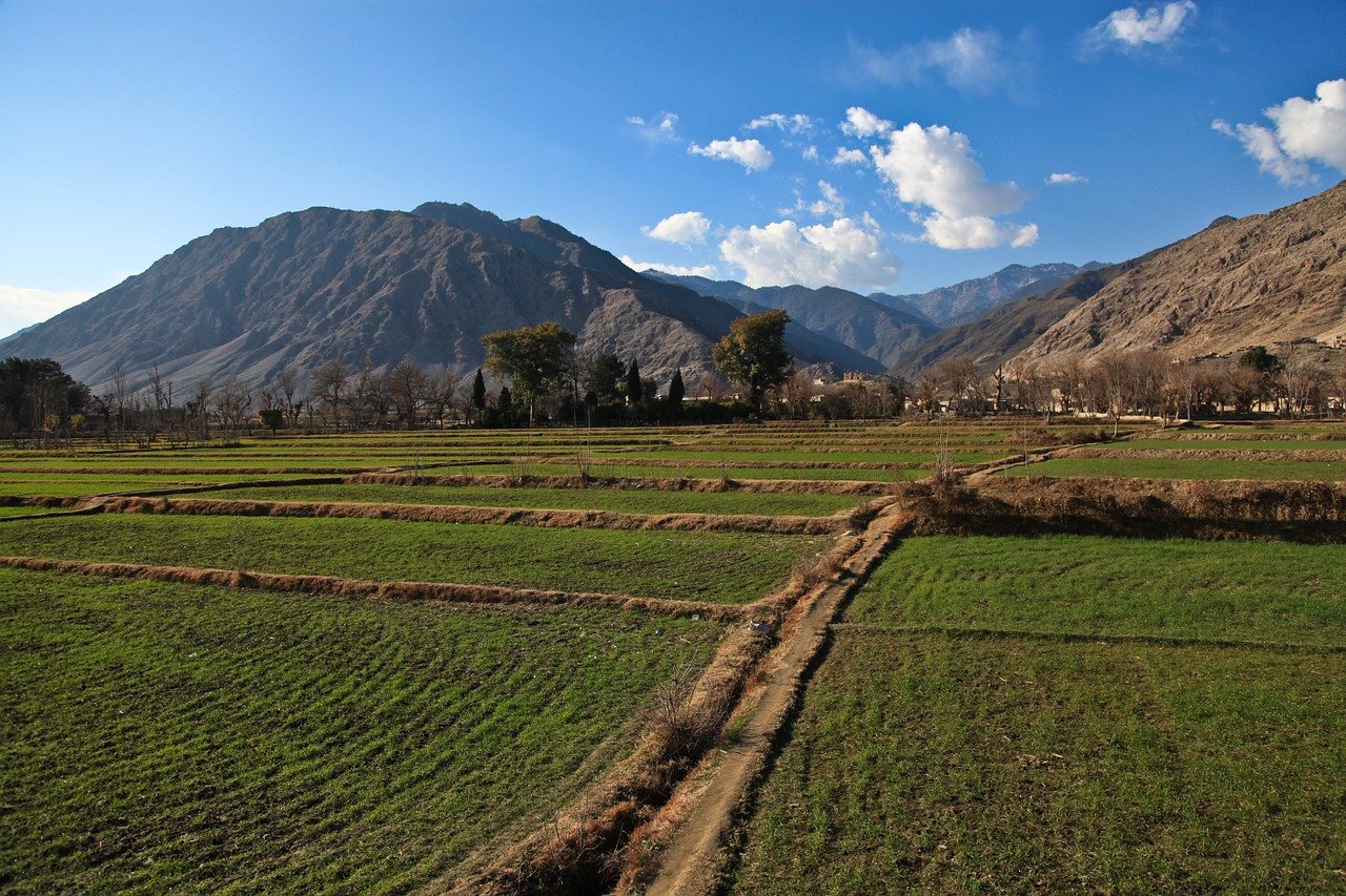 Afghanistan: Suspense and Shock