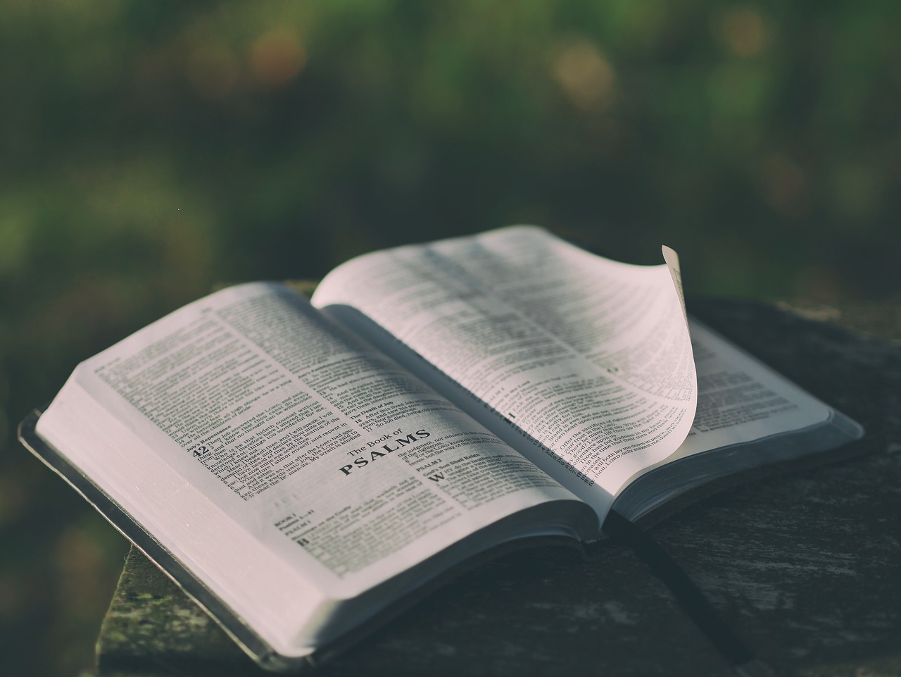 Venture Church Network: A Journey Into Disciple-Making