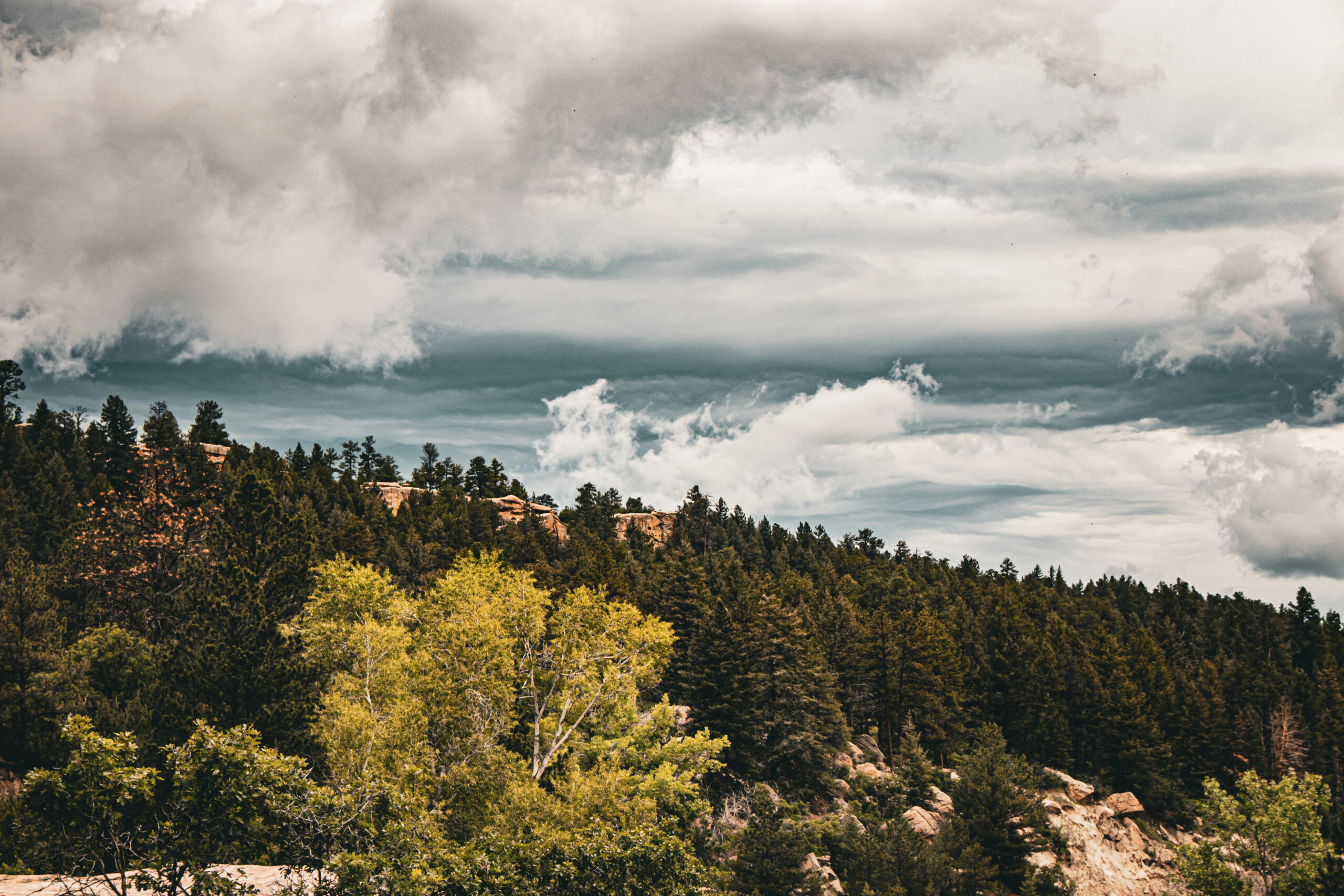 Loving The Creator God – Our Life’s Focus