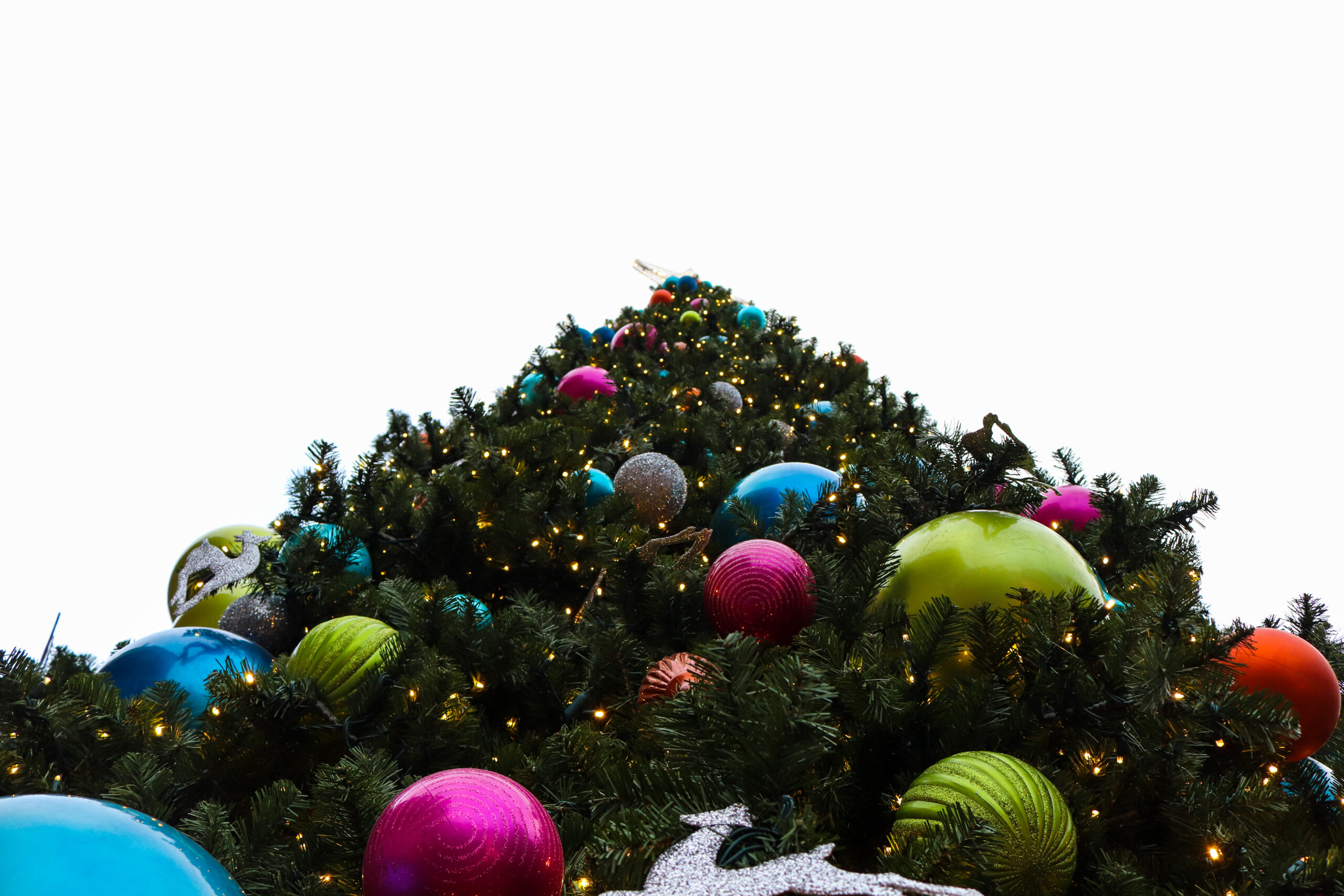 Christmas and The Government