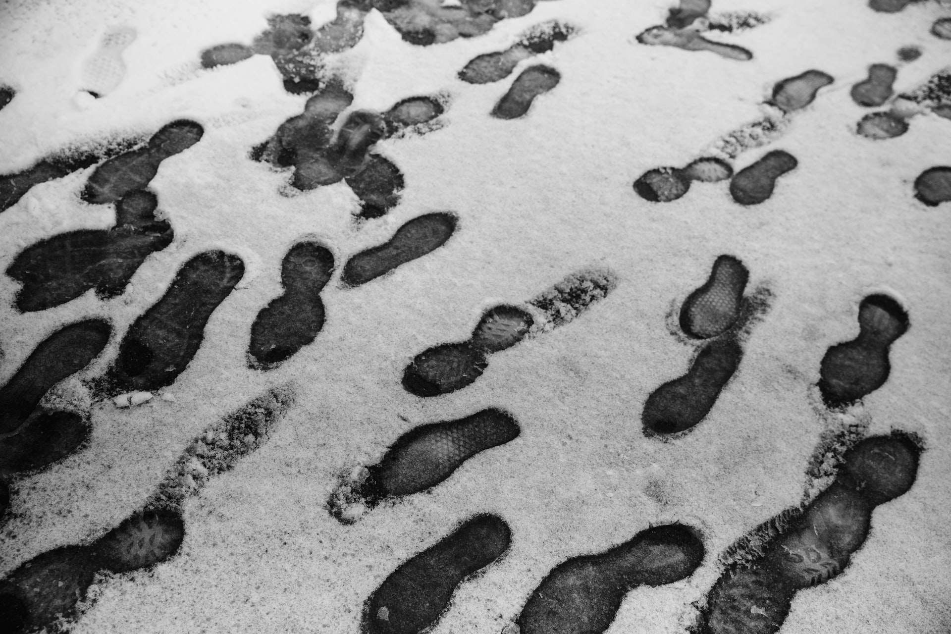 What Are My Next Steps In Following Jesus?