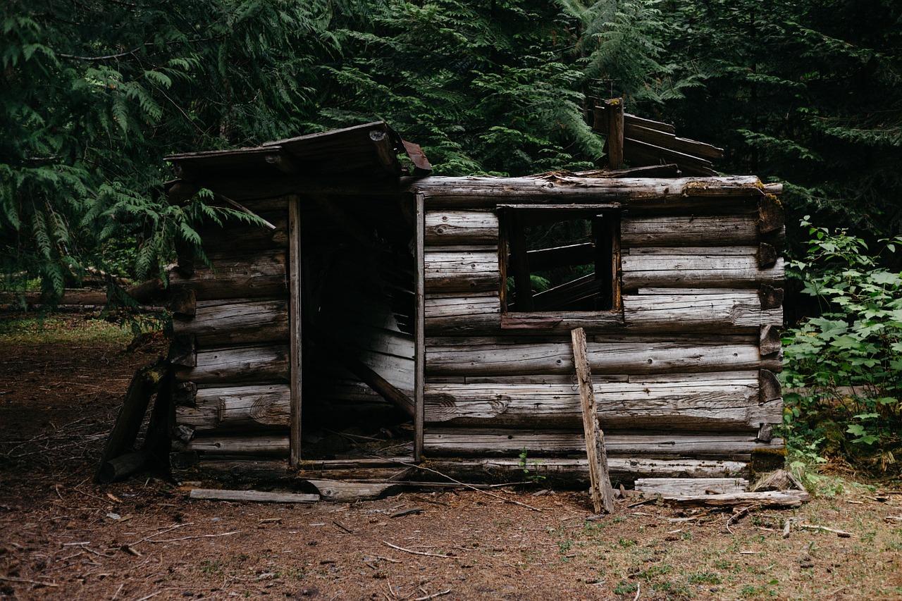 Shelter in Place: Joseph