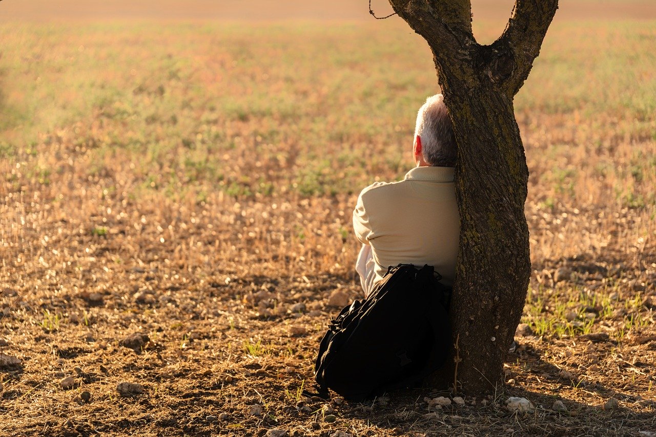 The Inner Life, World, and Vision of Healthy Cross-Cultural Servants
