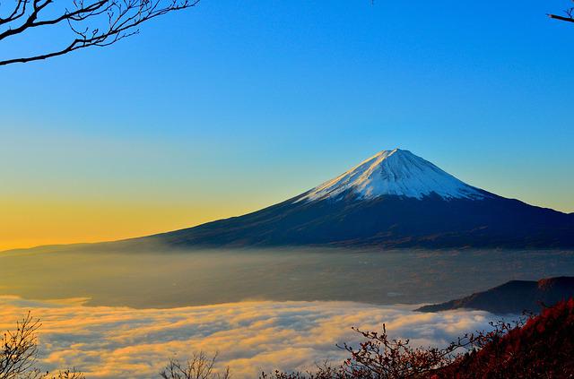 Image by kimura2 from Pixabay