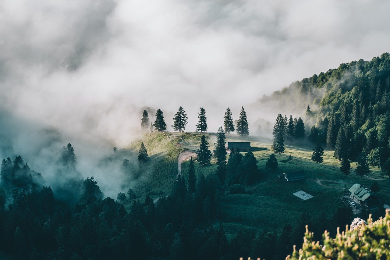 Psalm 77: Reflections of Lament