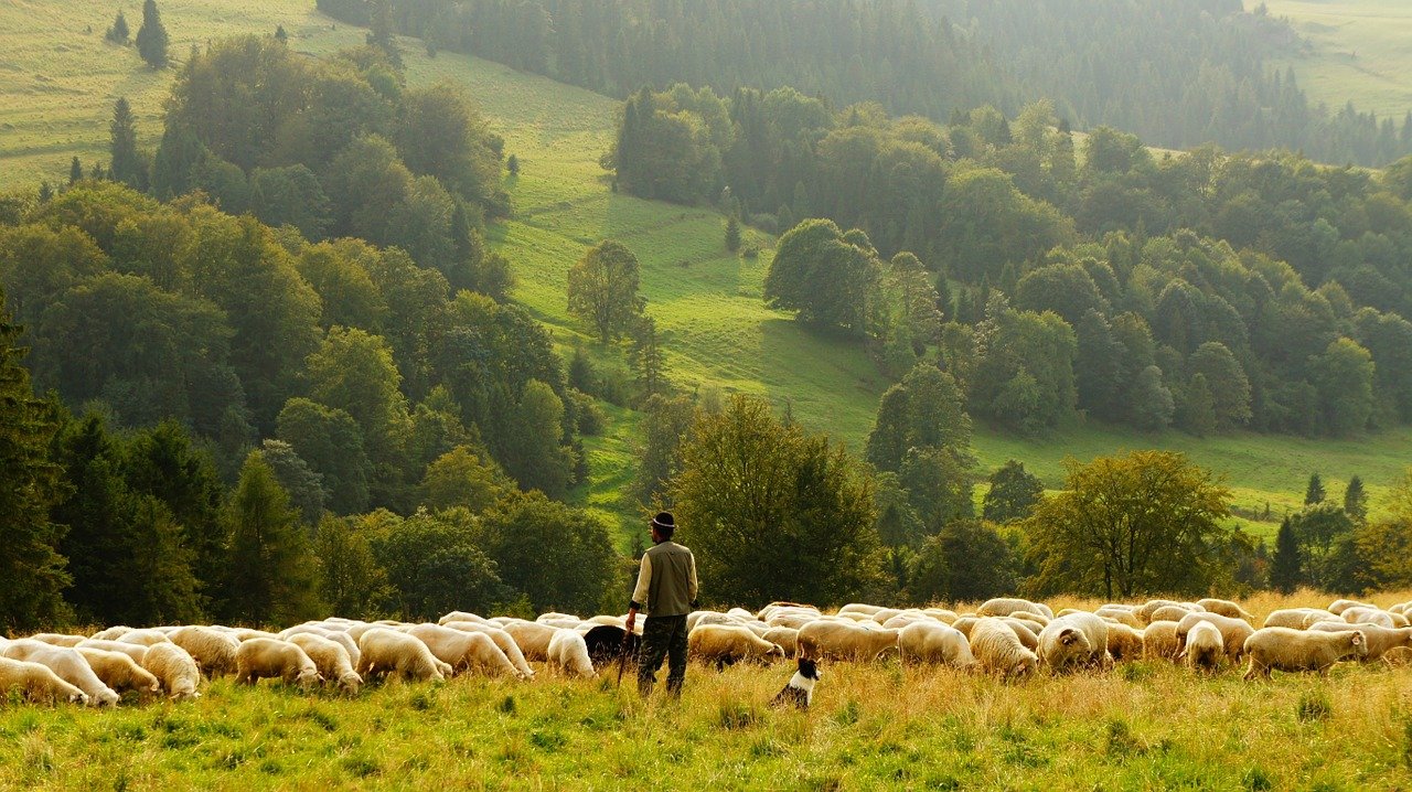 God of Shepherds