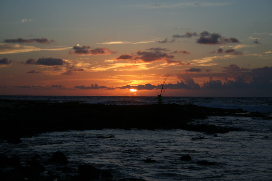 Photo by Candace McDaniel from StockSnap