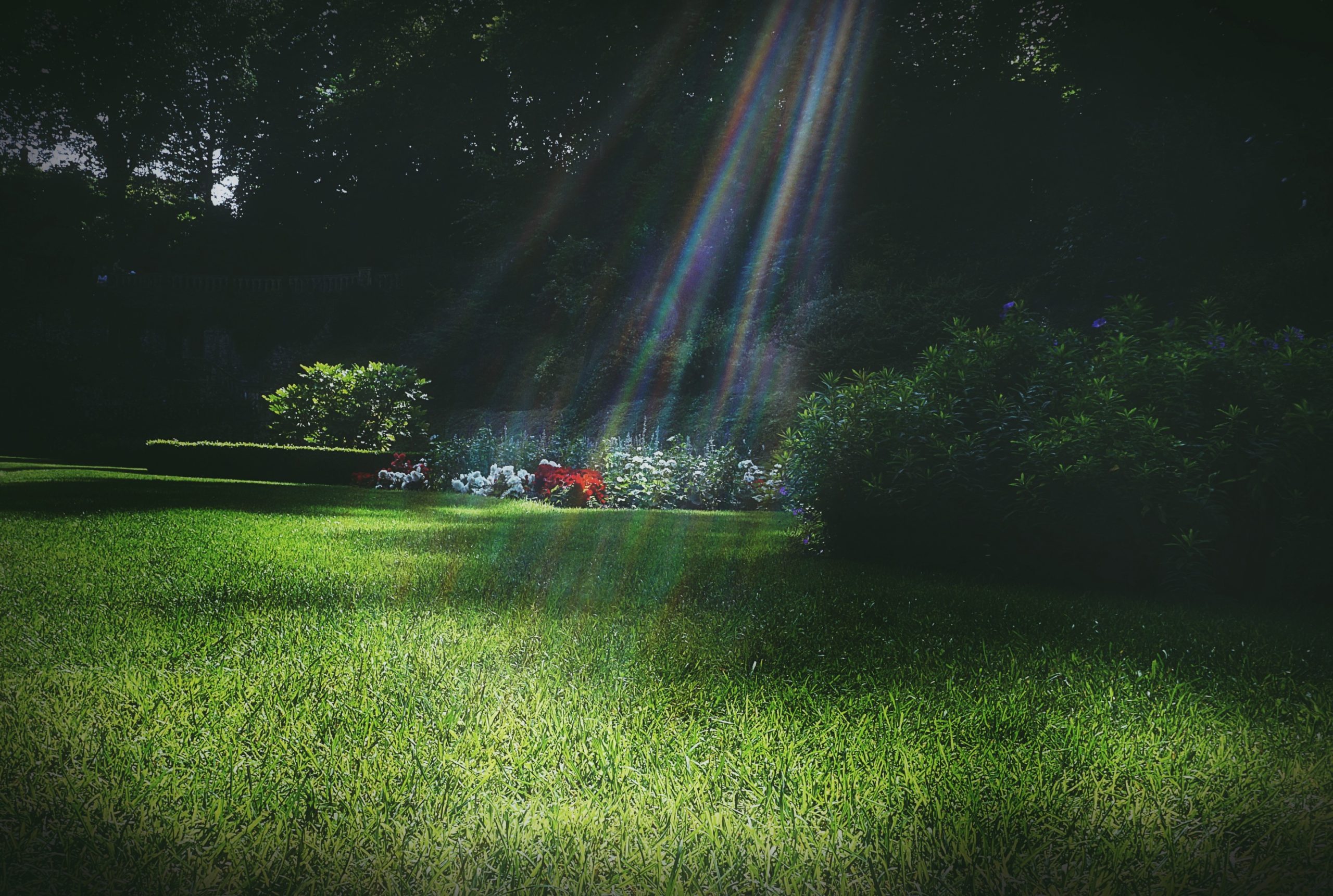 In The Garden