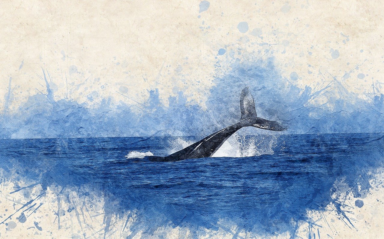 Jonah: The Heart of God For the Nations